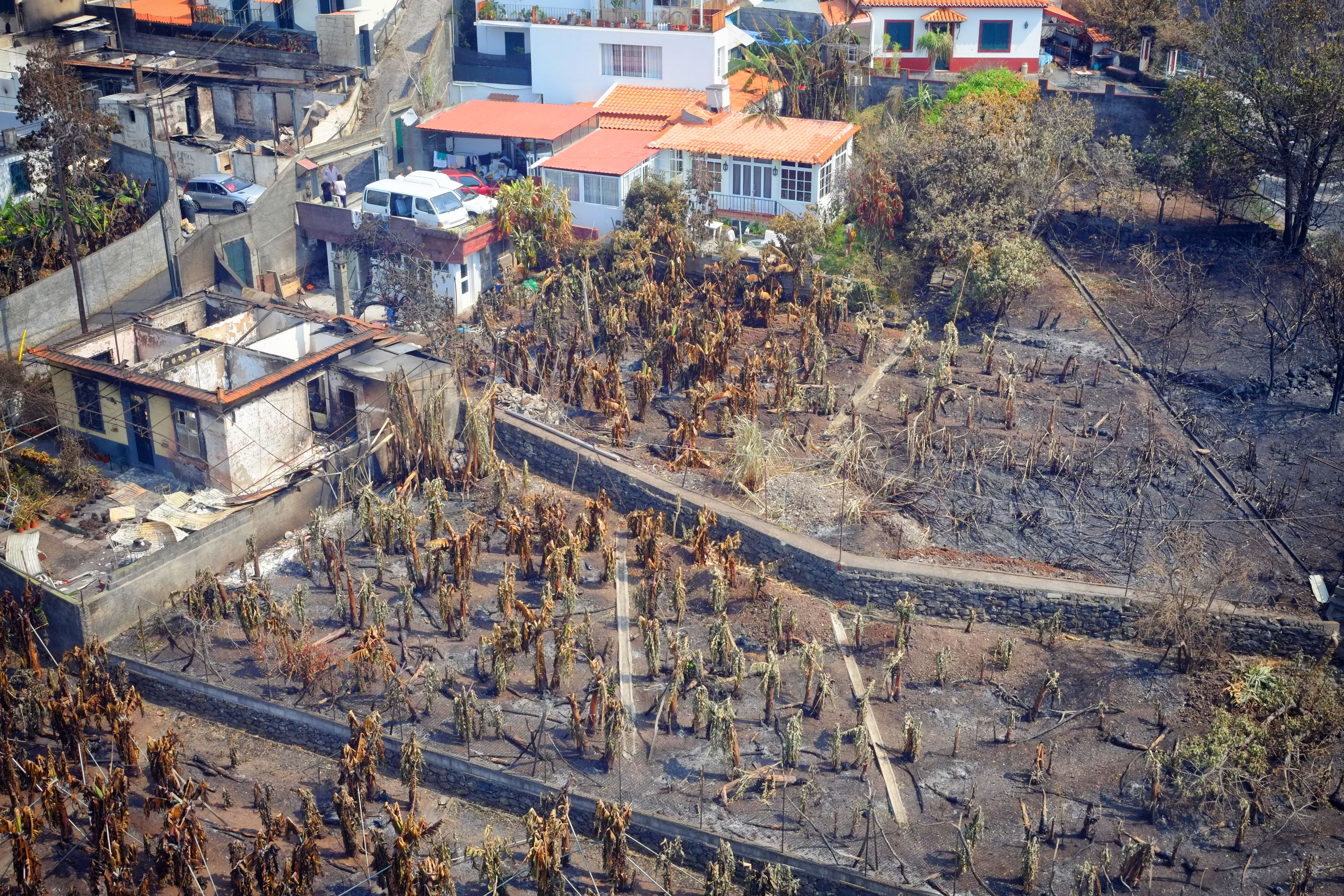 Damage in Madeira