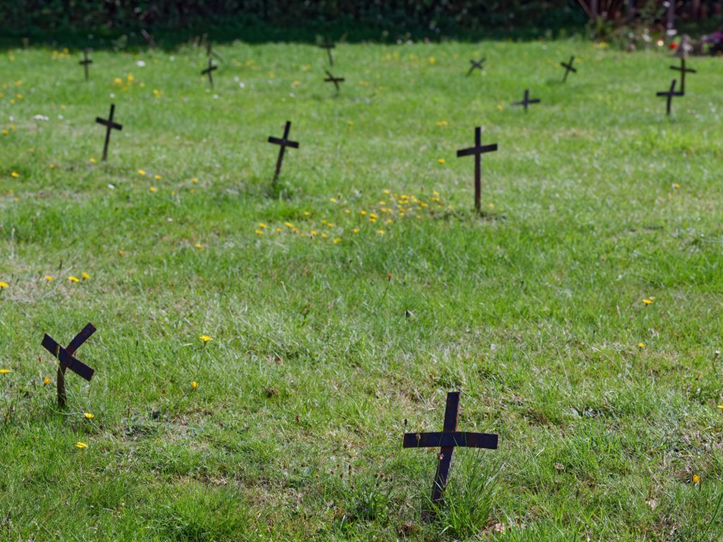 A large number of small iron crosses across the grass of Nayland cemetary. A few dandelions are growing up around the crosses and in the distance, to the top right of the picture, are floral tributes left in front of standard gravestone